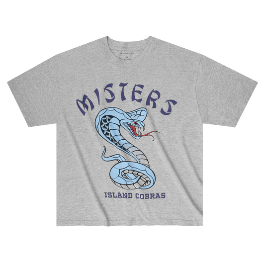 DMOTE COBRA SHRUNKEN TEE / HEATHER GREY